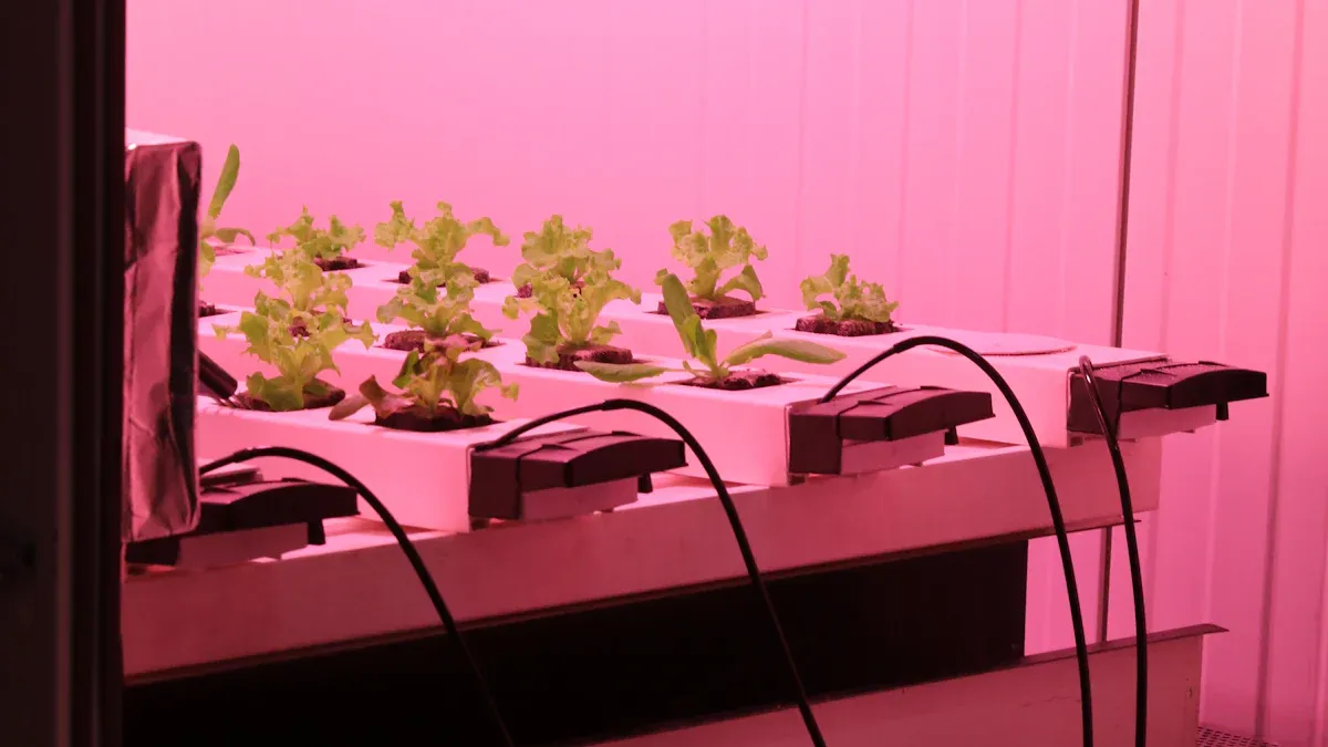 Hazkuntza bertikalak zure landareak hobeto hazten laguntzen al dezake